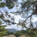 삼릉원