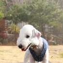 주앤주 이미지