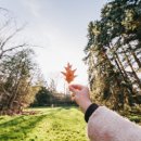 로드스테이1 이미지