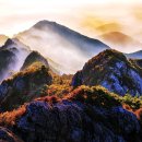 산하의물결 이미지