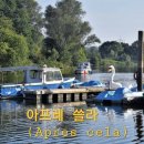 아프레
