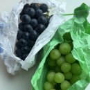 포도기 | 횡성 우천포도 샤인머스켓, 씨제로, 흑아롱까지 맛있는 두리포도원
