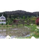 파인트리펜션 이미지