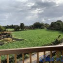 성산포시즌펜션 이미지