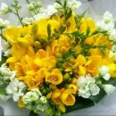 힐링노래교실 이미지