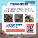 고창시장 입구 | 광주 근교 어린이날 고창 하전 바지락 축제｜아이랑 갯벌체험 후기 꿀팁