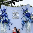 마루2반 권다현 꽃이랑 사진찍기 미션🌷 이미지