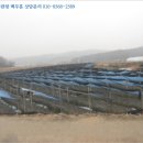 세평보건진료소 이미지