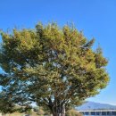 가람휴펜션 이미지