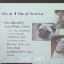 동탄중앙동물병원 이미지