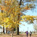 (주)미루플러스 이미지