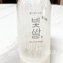 빛고운 | [내돈내산] 요즘 핫한 쌀로 만든 요거트 '빛쌀' 솔직 후기! (기본맛 & 통귀리)