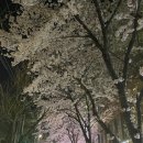금별맥주 앞(부일로459번길 40) 이미지