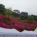 일화 직판장