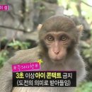 김언니도시락 | 수족냉증 꿀팁 : 발등에 불 떨어뜨리기