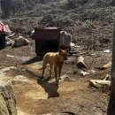 NR-31[해맞이로]-하-771 | 24. 03월