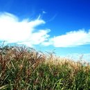 인갤러리 이미지