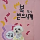 꾸미멍 네이버블로그