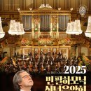 2025 신년음악회 이미지