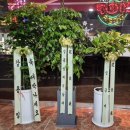 하얀집낙지전문점 | 역삼역 백반 맛집 남도식당 추천 닭도리탕· 낙지볶음· 뽈튀김 시식후기