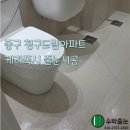 청구 | 중구 신당동 청구드림아파트 케라폭시 줄눈시공 후기