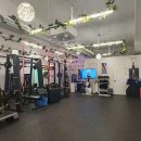 다비드 핏 이미지