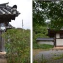 능주향교 은행나무 이미지