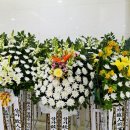 중앙장의사 - 영월군 하송안길 33 | 중앙장의사