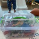 레코어린이집 이미지