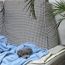 개님은 털빨 | 2025년 10월 일상기록(쉐이크쉑 버거,도트 코듀로이 미니 파우치 키링 추천)