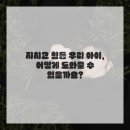 내몸에 건강이야기 이미지