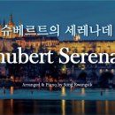 [1 Hour] 슈베르트의 세레나데 / Schubert Serenade / Piano by Song Kwangsik 이미지