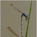 달맞이펜션 이미지