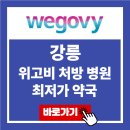 강릉 위고비 처방 병원 최저가 약국 가격 비교 가장 싼 곳 후기
