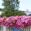 명천4통 경로당 이미지