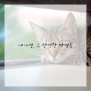지혜식품