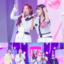 포유시스템