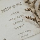 더채우다 이미지