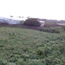 어도초등학교 이미지