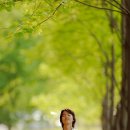 바람의속삭임 이미지
