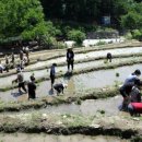 강상면사무소 이미지