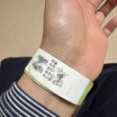 경기수정란이식센터 | [시험관 시술 10차] 마리아신설동에서 4번째 배아이식 후기, 수정란 수가 업데이트가 됐어요!!