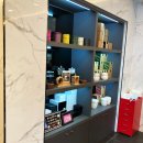 성남애견 이미지