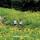 국제오토바이크