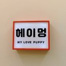 헤이멍 로고