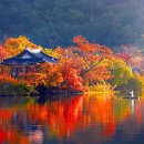 저수지길 이미지