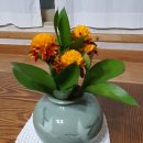 토방토방 황토민박 | 경주 여기어때? 가족을 위한 특별한 숙박! 다온뜰 리얼후기