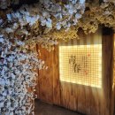 청춘술집 | [대구]경북대 북문 술집 청춘사업 방문후기