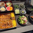 우나환경 | 마곡 맛집 장어 제대로 즐긴 우나 마곡 히츠마부시 토리마부시 후기
