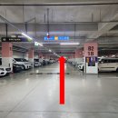 본치한의원 네이버블로그